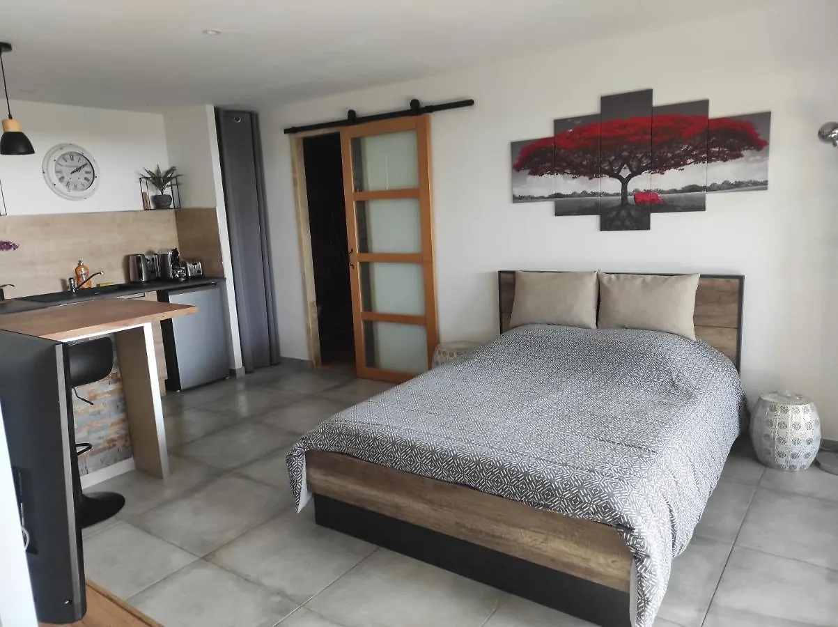 Studio Villa Le M Six-Fours-les-Plages Apartment