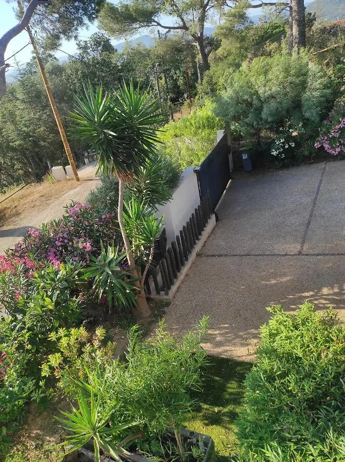 Apartment Studio Villa Le M Six-Fours-les-Plages France